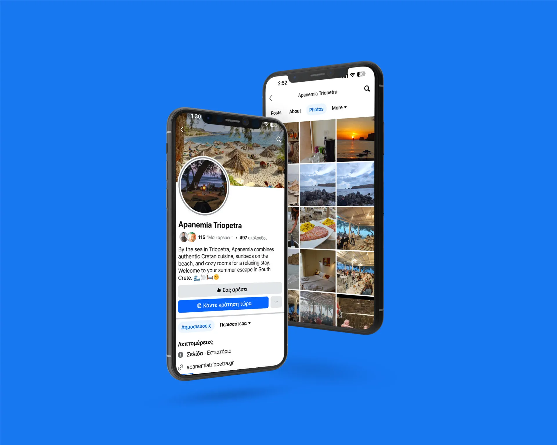 Apanemia Triopetra Social Media mockup