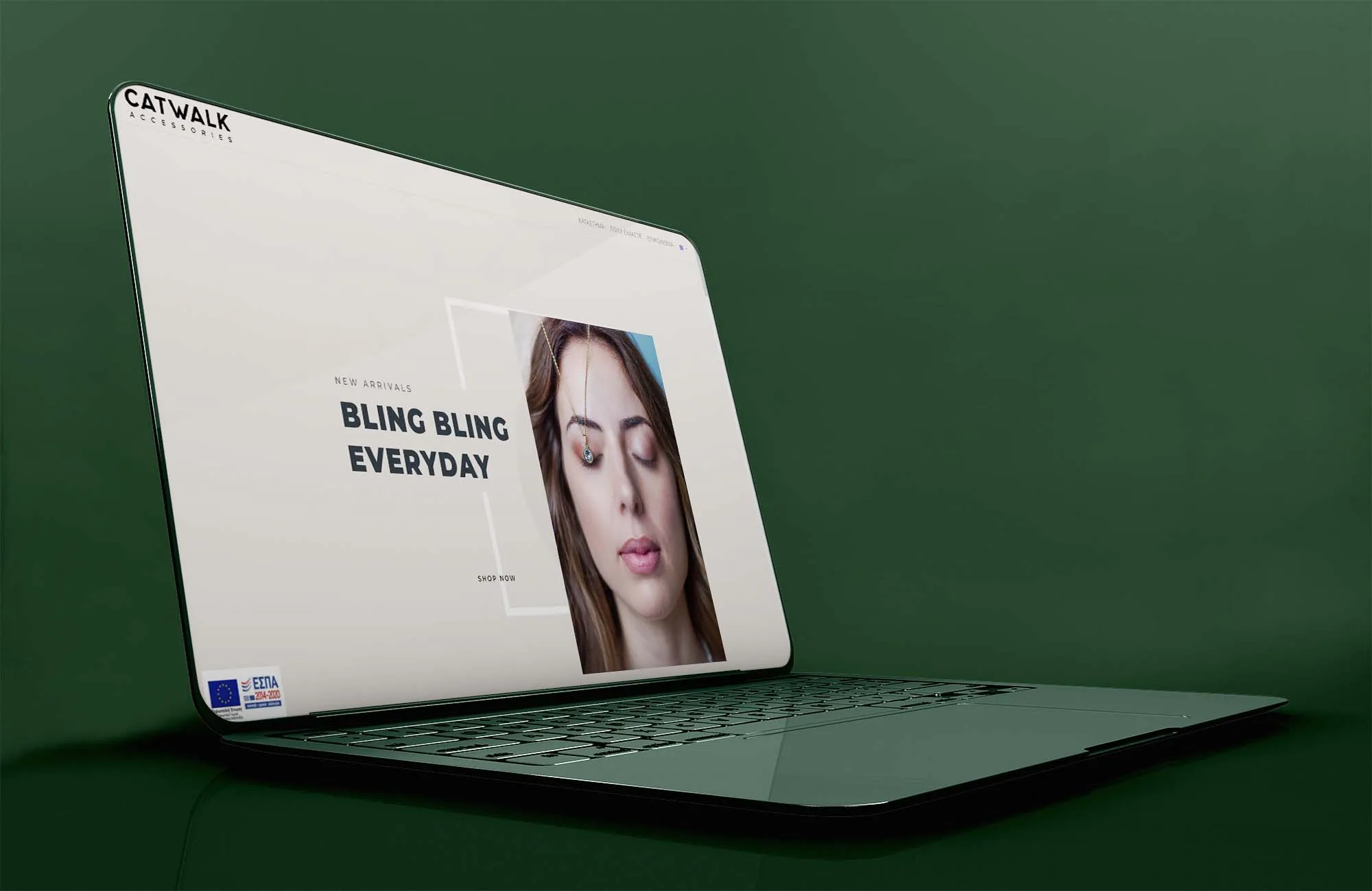 CATWALK ACCESSORIES Web Design mockup