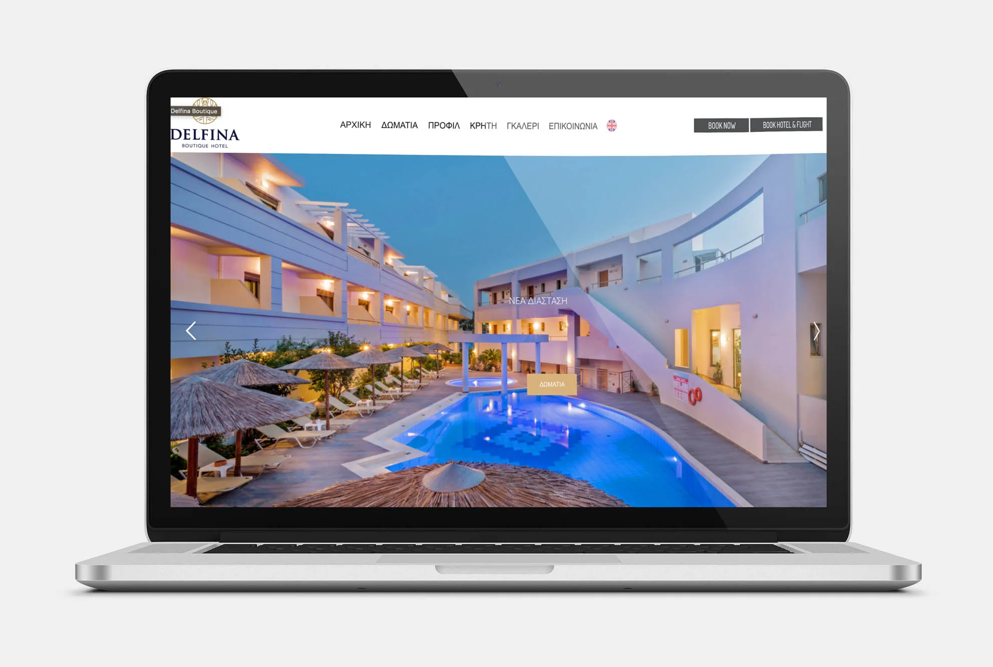 DELFINA BOUTIQUE Web Design mockup