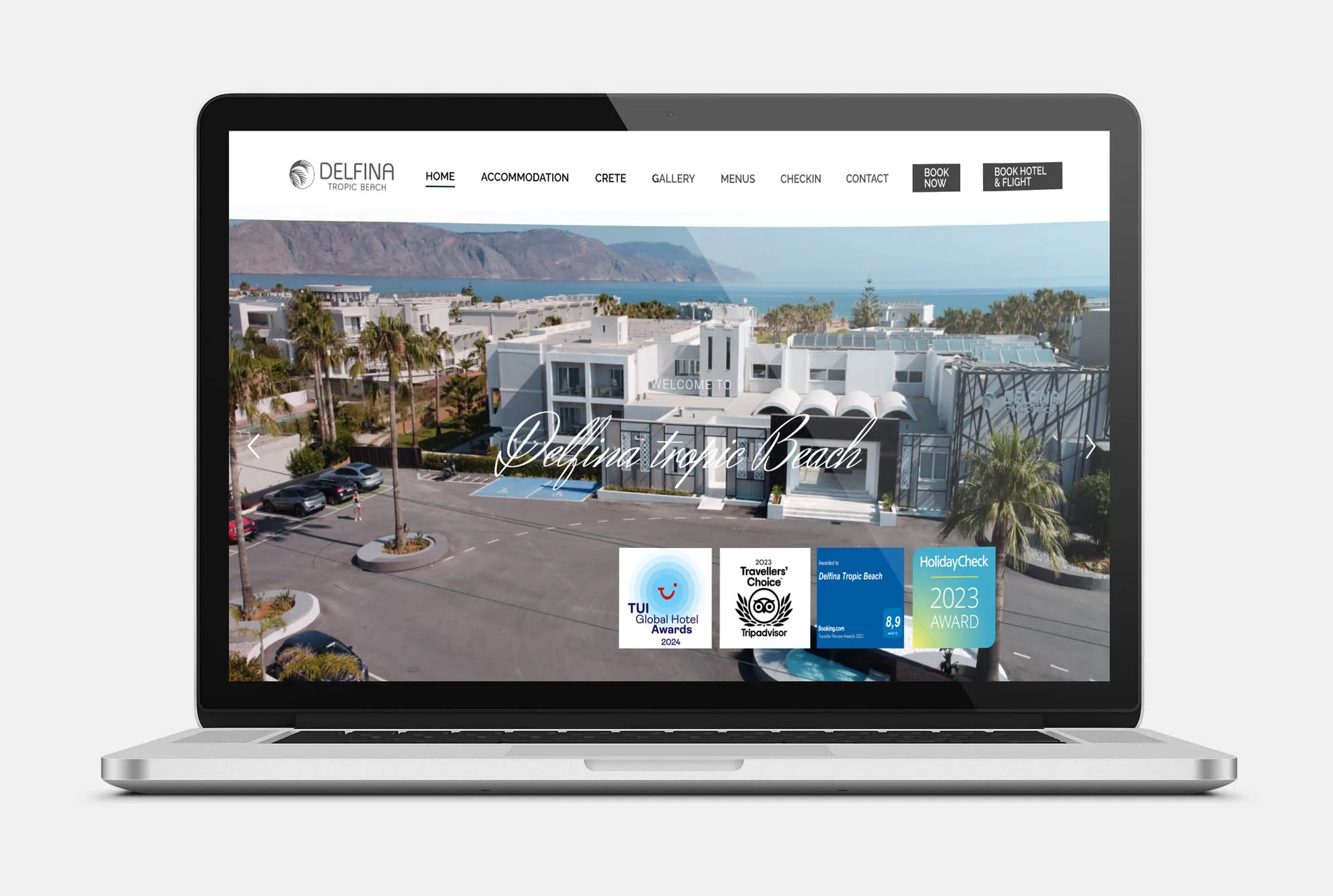 DELFINA TROPIC BEACH Web Design mockup