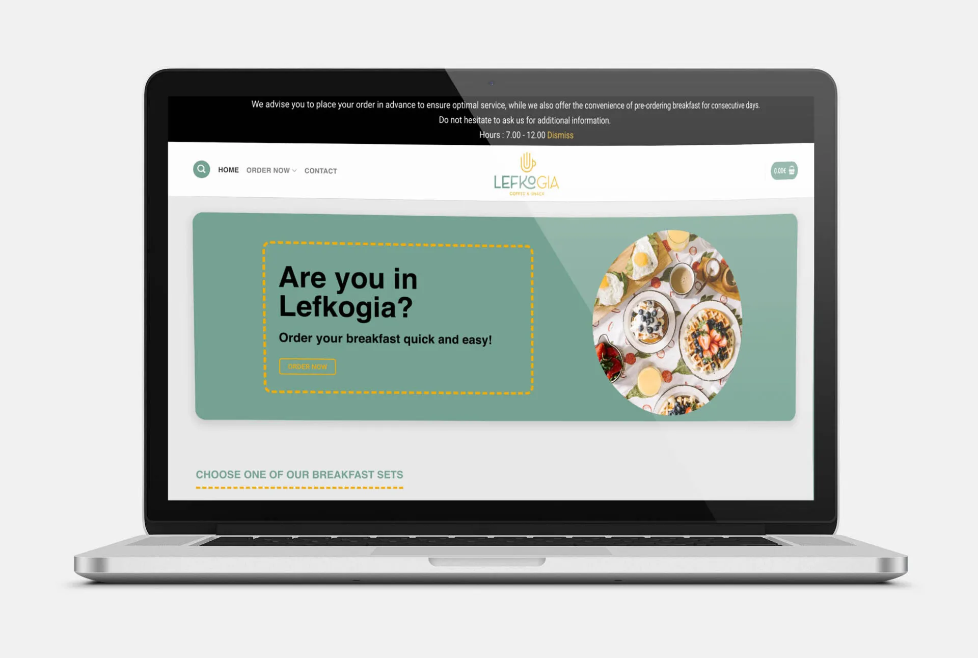 LEFKOGIA eShop Web Design mockup