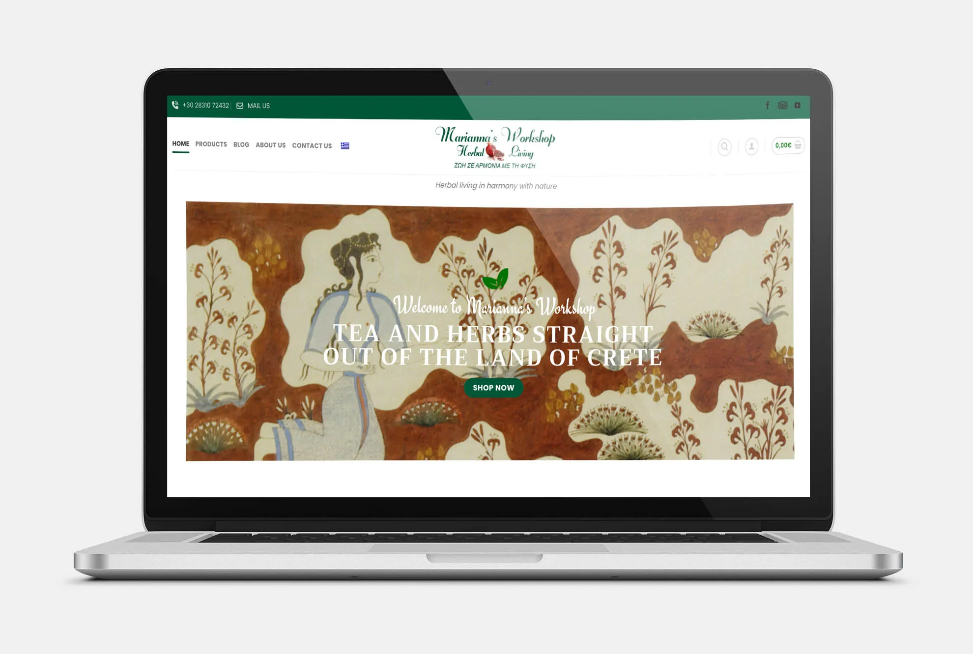MARIANNA'S WORKSHOP Web Design mockup