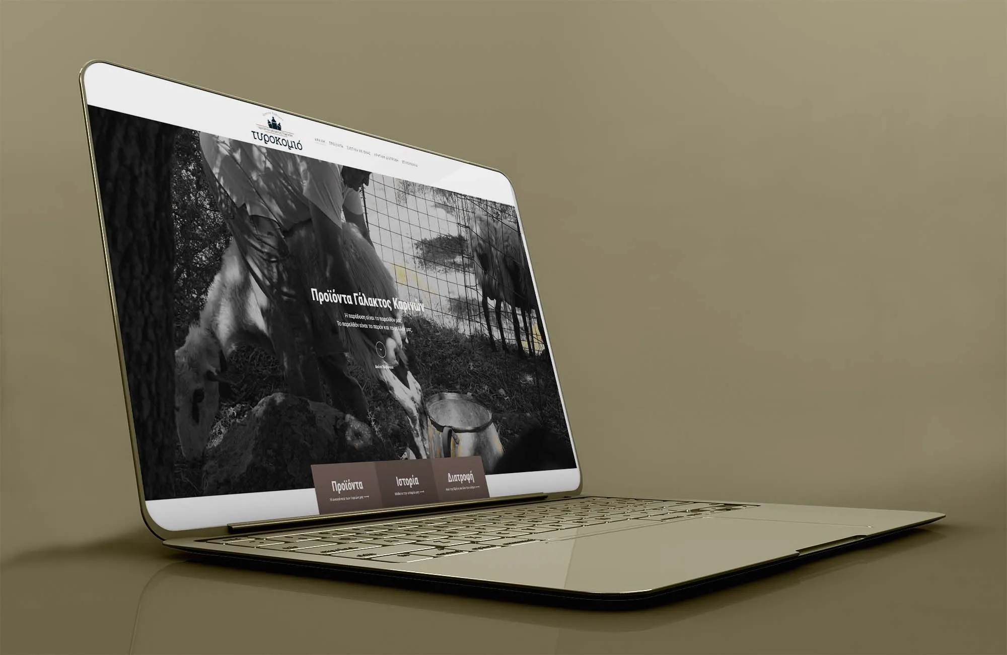 ΤΥΡΟΚΟΜΙΟ – ΠΡΟΙΟΝΤΑ ΓΑΛΑΚΤΟΣ Web Design mockup